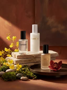 Lumine コレクション